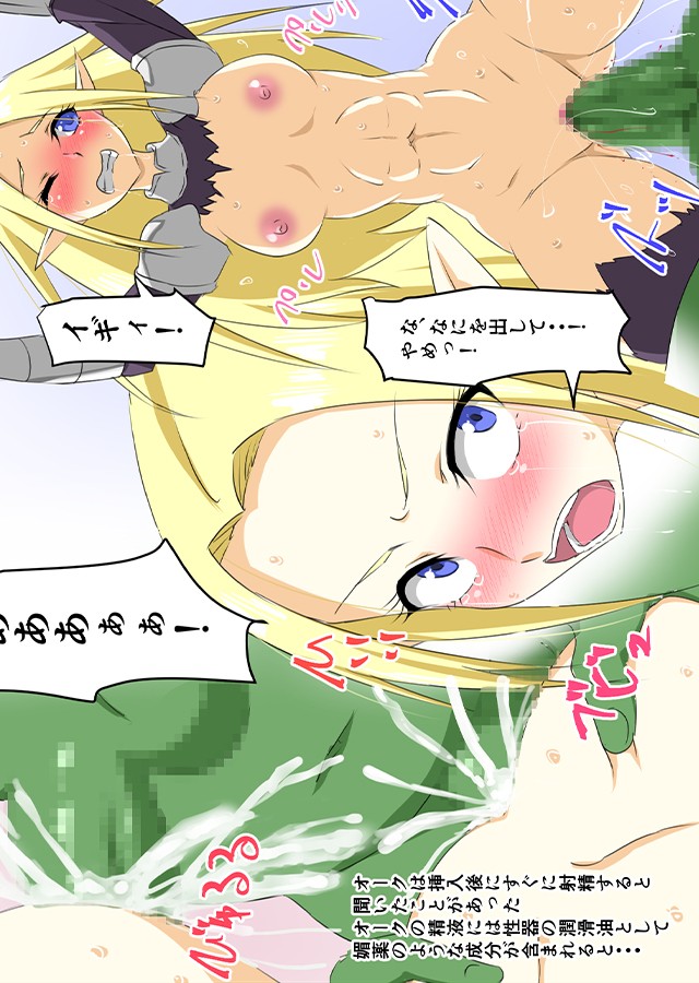 敗北エルフの女騎士 オーク██、そして…｜サンプル1