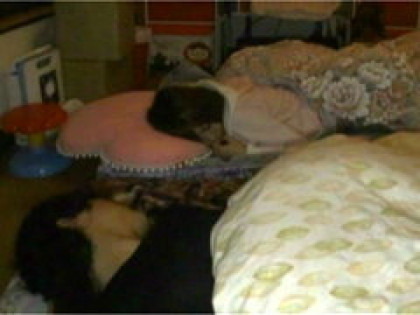 AV男優の兄とその妹、兄妹愛を超えるとき…｜サンプル2