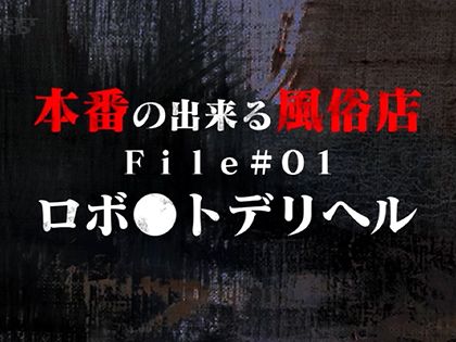 ロボットデリヘル・リフレ・ちょんの間☆本番ができる風俗店｜サンプル1