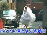 結婚式を抜け出し30分間で知らない男と独身最後のH