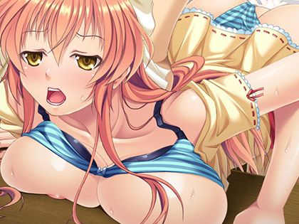 アイドル肉体交感 ～おれがあの子で、あの子がオレ～